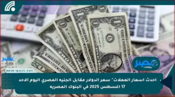 أحدث أسعار العملات” سعر الدولار مقابل الجنية المصري اليوم الأحد 17 أغسطس 2025 في البنوك المصرية